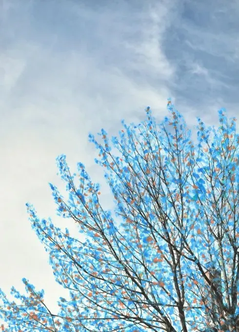 Illustration artistique de branches d'arbre aux feuilles bleues sur fond de ciel nuageux.